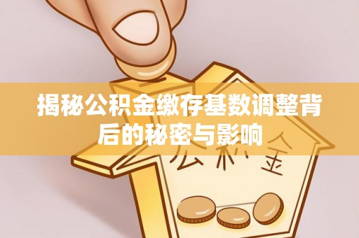 大田揭秘公积金缴存基数调整背后的秘密与影响