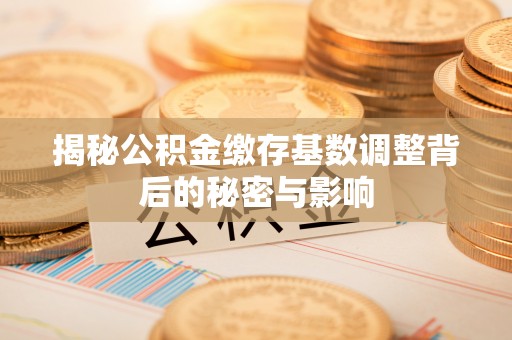 大田揭秘公积金缴存基数调整背后的秘密与影响