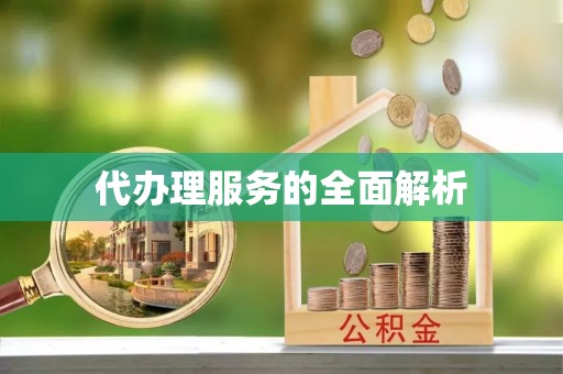 大田代办理服务的全面解析