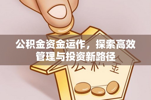 大田公积金资金运作，探索高效管理与投资新路径