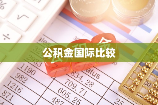 大田公积金国际比较