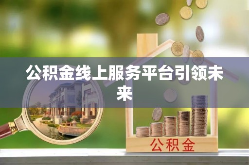 大田公积金线上服务平台引领未来