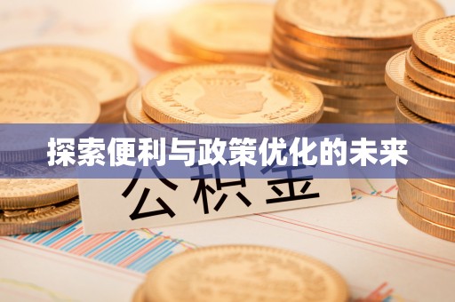 大田探索便利与政策优化的未来