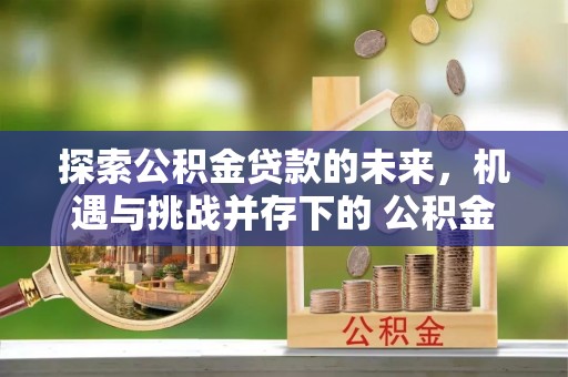 大田探索公积金贷款的未来，机遇与挑战并存下的 公积金贷款风险防控
