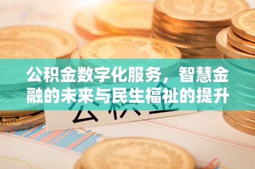 大田公积金数字化服务，智慧金融的未来与民生福祉的提升