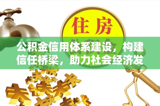 大田公积金信用体系建设，构建信任桥梁，助力社会经济发展