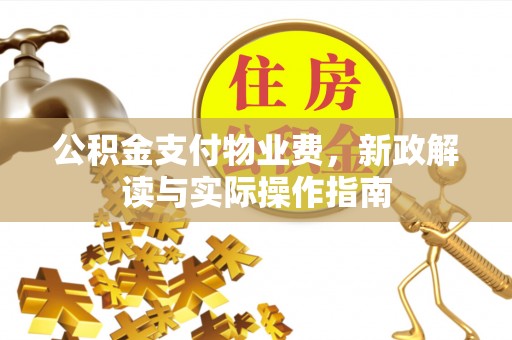 大田公积金支付物业费，新政解读与实际操作指南