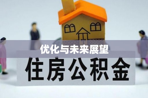 大田优化与未来展望
