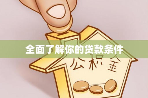 大田全面了解你的贷款条件