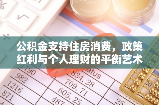 大田公积金支持住房消费，政策红利与个人理财的平衡艺术