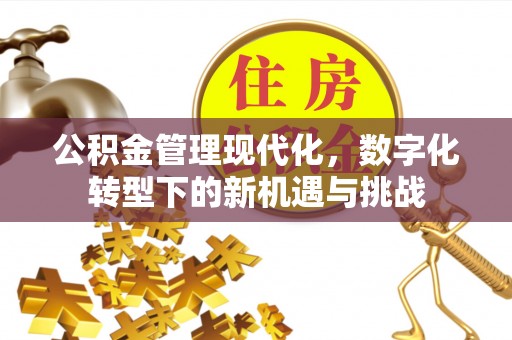 大田公积金管理现代化，数字化转型下的新机遇与挑战